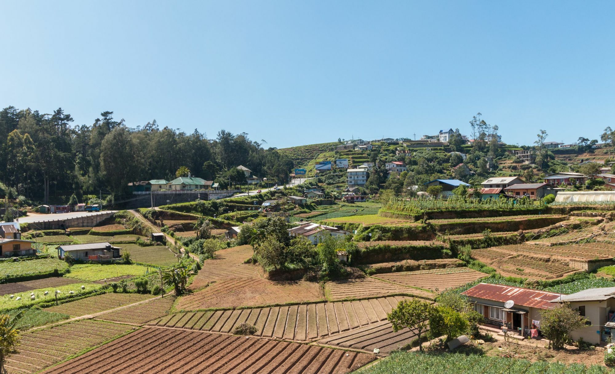 Aaradhya Villa Nuwara Eliya Zewnętrze zdjęcie